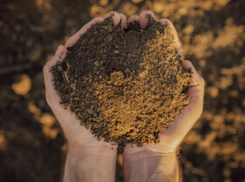 土壤检测的常规八项及其意义