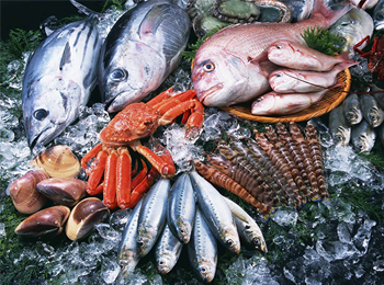鱼类营养成分检测 ：促进食品安全与营养健康